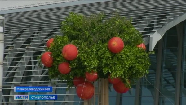 На Ставрополье открылся форум PRO ЯБЛОКО