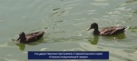 Экологические тропы Ставрополья: как сохранить природу и насладиться её красотой