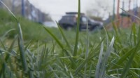 Клещи активно начали охоту на ставропольцев Клещи активно начали охоту на ставропольцев