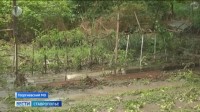 На Кавминводах подсчитывают ущерб от непогоды На Кавминводах подсчитывают ущерб от непогоды