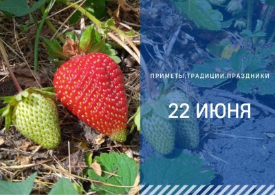 Приметы на 22 июня: что можно и нельзя делать в Кириллов день Приметы на 22 июня: что можно и нельзя делать в Кириллов день