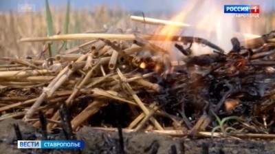Чрезвычайная пожароопасность объявлена на Ставрополье Чрезвычайная пожароопасность объявлена на Ставрополье