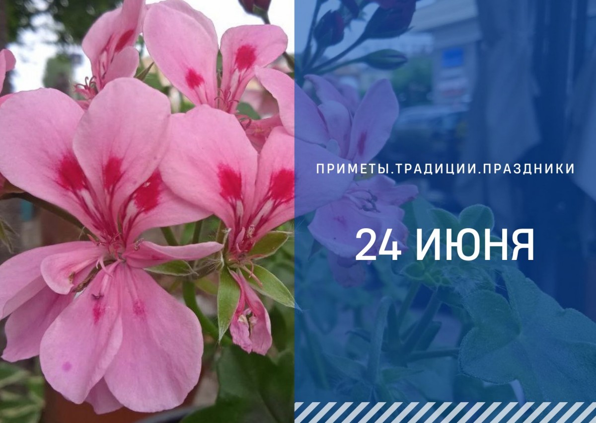 Приметы на 24 июня: что можно и нельзя желать в день Варнавы Приметы на 24 июня: что можно и нельзя желать в день Варнавы