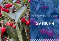 Приметы на 29 июня: что можно и нельзя делать в Тихонов день