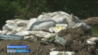 Берег на реке Кума обрушился вместе с деревьями