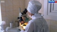 Десятки ставропольцев заболели после укусов клещей