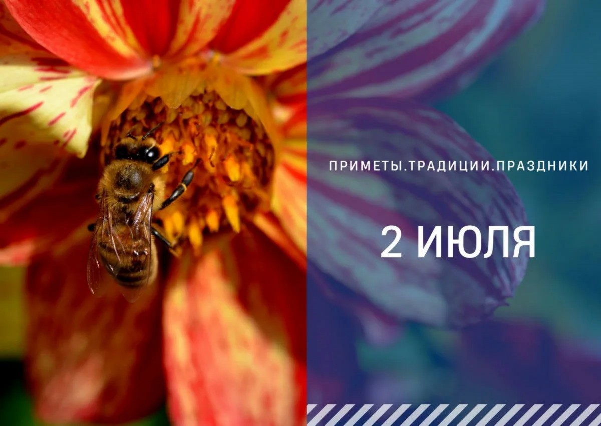 Приметы на 2 июля: что можно и нельзя делать в день Зосима Пчельника Приметы на 2 июля: что можно и нельзя делать в день Зосима Пчельника