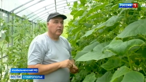 Жители Ставрополья развивают свое дело с помощью соцконтракта