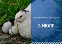 Приметы на 3 июля: что можно и нельзя делать в день Мефодия Перепелятника Приметы на 3 июля: что можно и нельзя делать в день Мефодия Перепелятника