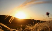Сегодня на Ставрополье был первый в году по-настоящему жаркий день Сегодня на Ставрополье был первый в году по-настоящему жаркий день