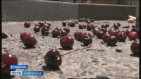 Почти 300 килограммов овощей и фруктов изъяли на точках стихийной торговли в Ставрополе