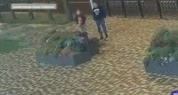 Злоумышлнники, вырывавшие цветы с клумб в Ставрополе, задержаны Злоумышлнники, вырывавшие цветы с клумб в Ставрополе, задержаны