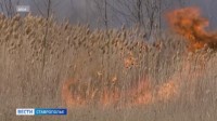 Пожар на поле в Левокумском округе: первое возгорание в условиях особого противопожарного режима Пожар на поле в Левокумском округе: первое возгорание в условиях особого противопожарного режима