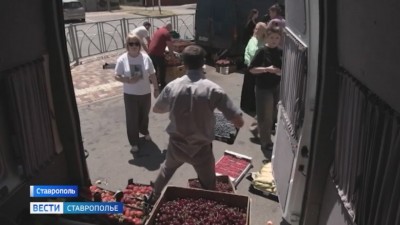 Цены, наличка и стихийная торговля: разбираемся, что происходит на рынках Ставрополья Цены, наличка и стихийная торговля: разбираемся, что происходит на рынках Ставрополья