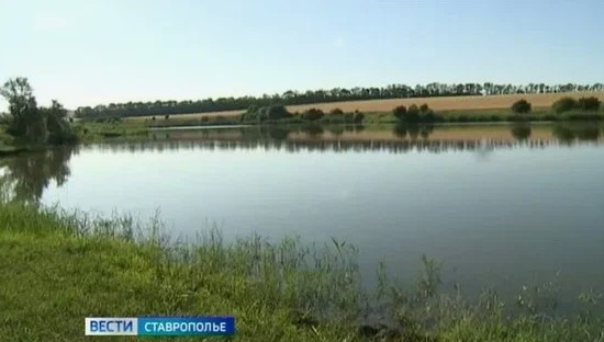 На Ставрополье в пруду утонул мужчина На Ставрополье в пруду утонул мужчина