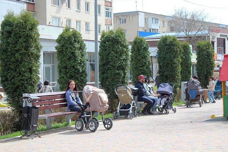 На Ставрополье семьи с детьми в этом году получили из СФР более 26 миллиардов рублей На Ставрополье семьи с детьми в этом году получили из СФР более 26 миллиардов рублей