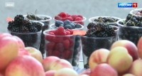 В Минводах продукцию на нелегальных рынках будут утилизировать В Минводах продукцию на нелегальных рынках будут утилизировать