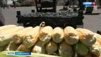 Почти 2 млн рублей штрафов наложили на уличных торговцев в Ставрополе Почти 2 млн рублей штрафов наложили на уличных торговцев в Ставрополе