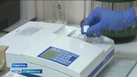 В Ставрополе проверили качество воды в Комсомольском пруду В Ставрополе проверили качество воды в Комсомольском пруду