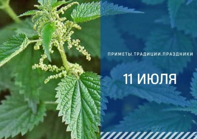 Приметы на 11 июля: что можно и нельзя делать в Крапивное заговенье Приметы на 11 июля: что можно и нельзя делать в Крапивное заговенье