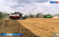 Аграрии Петровского округа Ставрополья продолжают уборку озимых культур