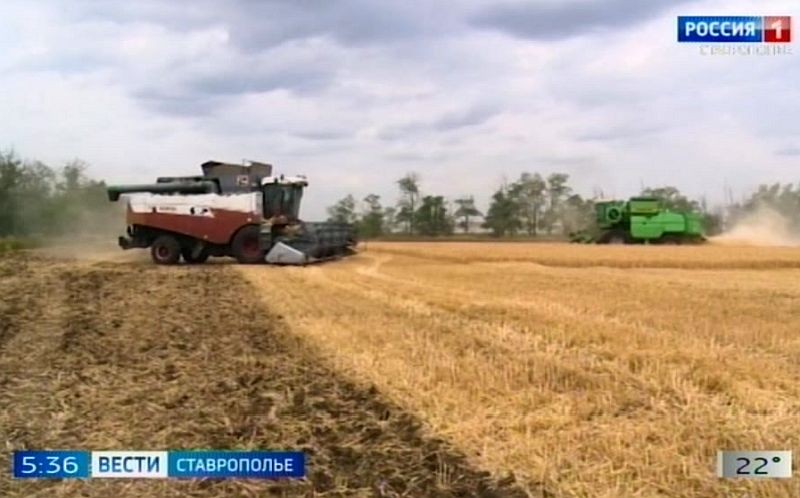 Аграрии Петровского округа Ставрополья продолжают уборку озимых культур Аграрии Петровского округа Ставрополья продолжают уборку озимых культур