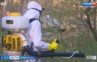 В Ставрополе не прекращается антиклещевая обработка В Ставрополе не прекращается антиклещевая обработка
