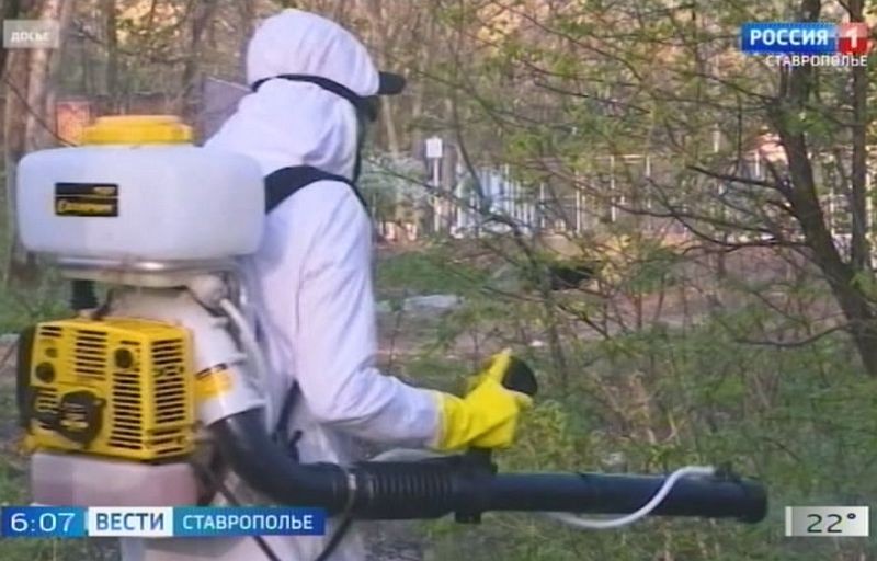 В Ставрополе не прекращается антиклещевая обработка В Ставрополе не прекращается антиклещевая обработка