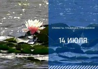 Приметы на 14 июля: что можно и нельзя делать на Летние Кузьминки
