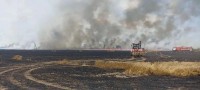 В Нефтекумском округе сгорело 140 гектаров пшеницы В Нефтекумском округе сгорело 140 гектаров пшеницы