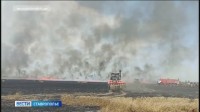 На Ставрополье тушили пожар на пшеничном поле