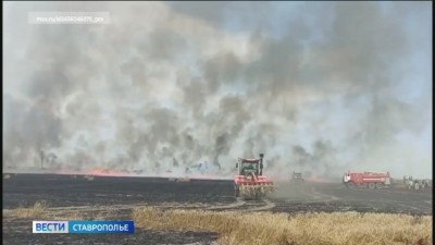 На Ставрополье тушили пожар на пшеничном поле На Ставрополье тушили пожар на пшеничном поле