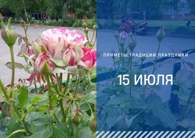 Приметы на 15 июля: что можно и нельзя делать на Берегиню Приметы на 15 июля: что можно и нельзя делать на Берегиню