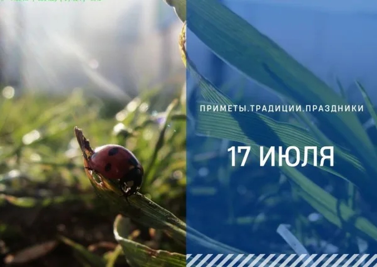 Приметы на 17 июля: можно и нельзя делать в день Андрея Налива Приметы на 17 июля: можно и нельзя делать в день Андрея Налива