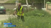 Аллергиков. ждут непростые времена