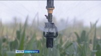 На развитие мелиорации на Ставрополье направят более миллиарда рублей