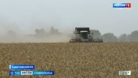 Уборочная кампания на Ставрополье приближается к экватору