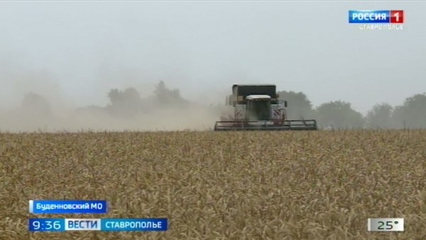 Уборочная кампания на Ставрополье приближается к экватору