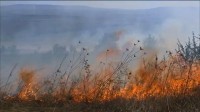 Количество ландшафтных пожаров на Ставрополье увеличилось в разы Количество ландшафтных пожаров на Ставрополье увеличилось в разы