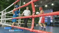 В Ессентуках прошел III Открытый Кубок главы города по боксу и единоборствам В Ессентуках прошел III Открытый Кубок главы города по боксу и единоборствам