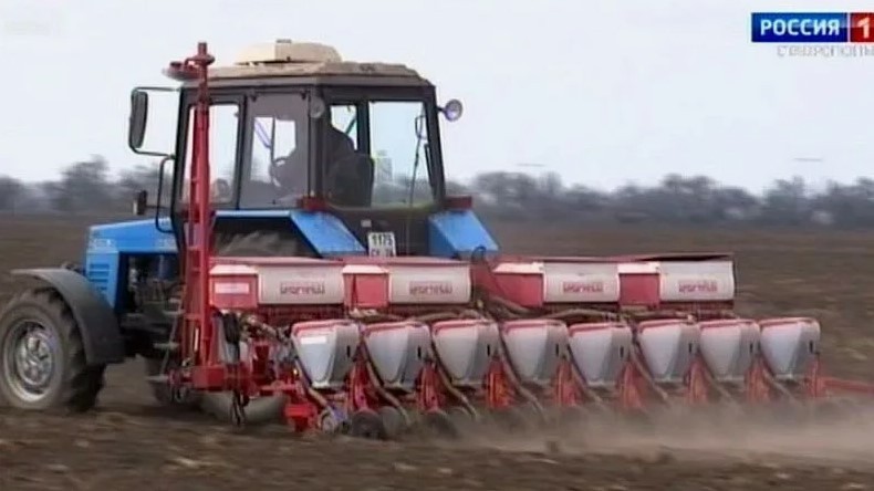 Ставрополье продолжает наращивать производство гречихи Ставрополье продолжает наращивать производство гречихи