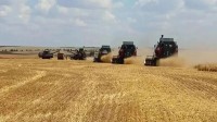 Экватор жатвы на Ставрополье преодолен Экватор жатвы на Ставрополье преодолен