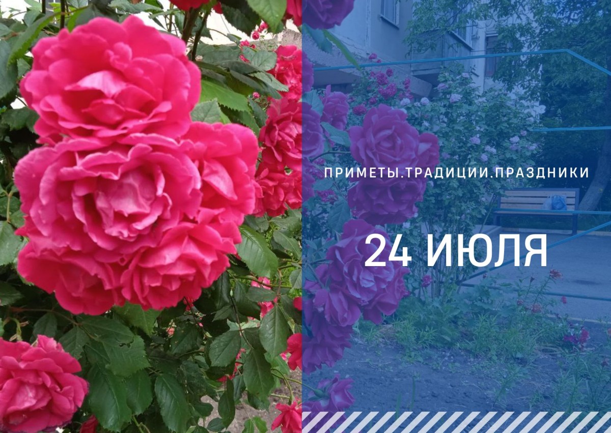 Приметы на 24 июля: что можно и нельзя делать на Ольгу Страдницу Приметы на 24 июля: что можно и нельзя делать на Ольгу Страдницу