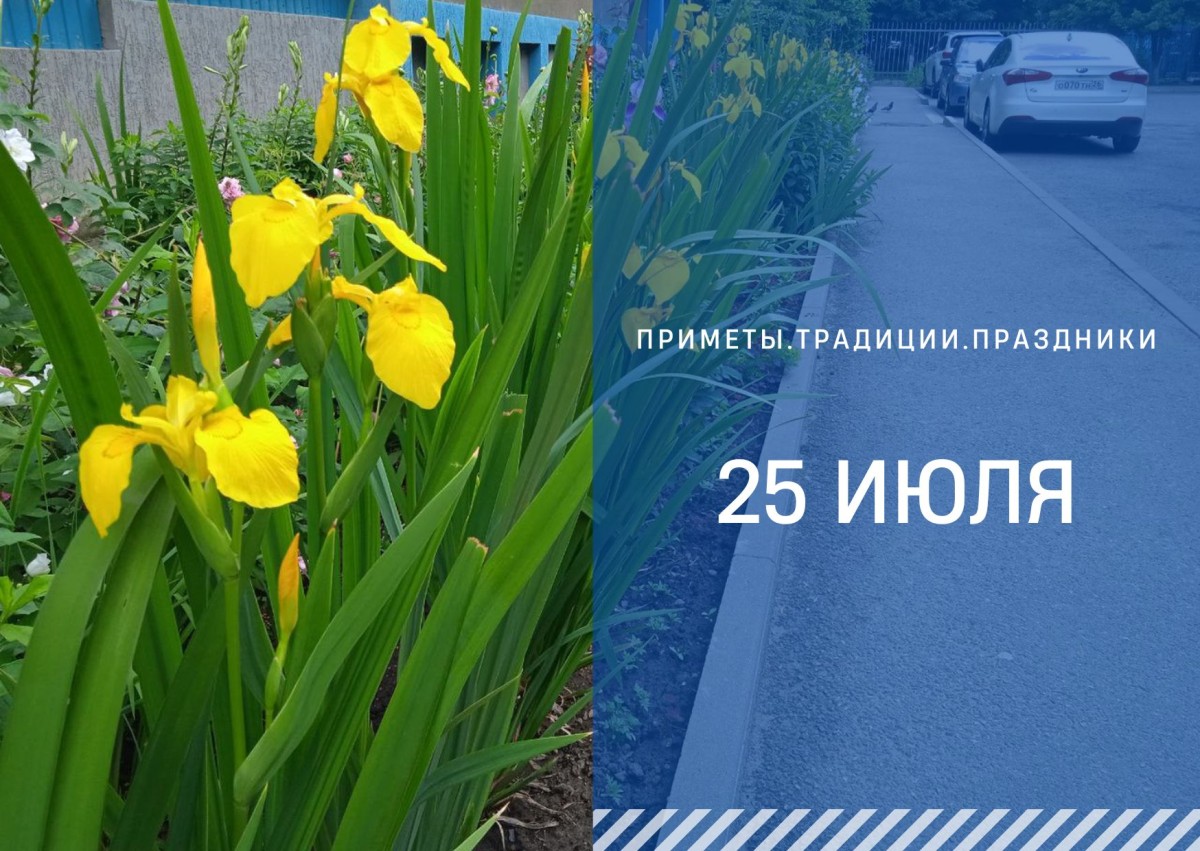 Приметы на 25 июля: что можно и нелья делать на Прокла Плакальщика Приметы на 25 июля: что можно и нелья делать на Прокла Плакальщика
