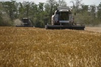 На Ставрополье близится к завершению уборка зерновых