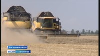 Власти Ставрополья решают насущные проблемы аграриев Власти Ставрополья решают насущные проблемы аграриев