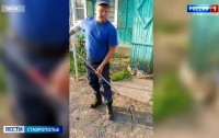 В дома жителей Ставрополья поползли змеи В дома жителей Ставрополья поползли змеи