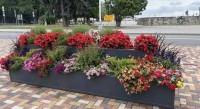 Более 350 цветочных кашпо украшают Ставрополь этим летом