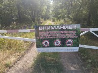 Ограничения при посещении лесов продлены на Ставрополье