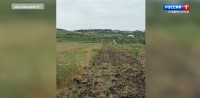 В Ставрополе обновляют противопожарные полосы